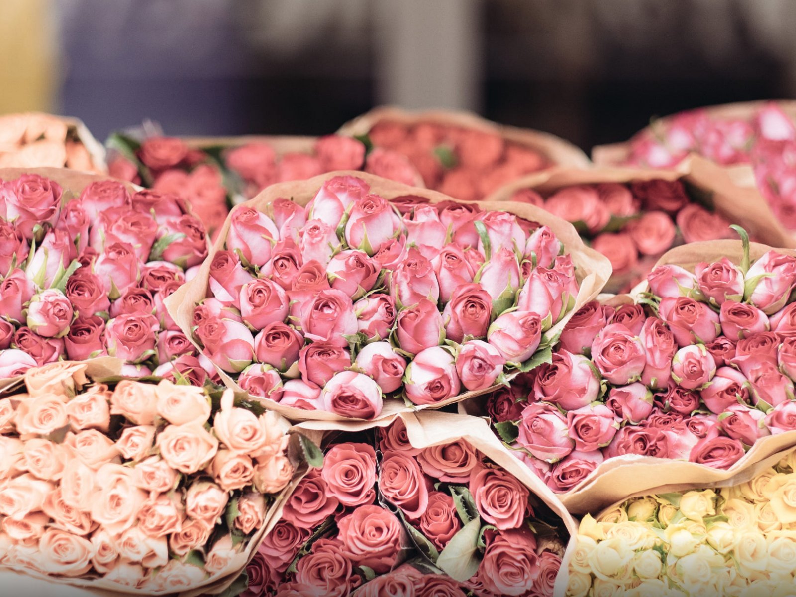   MOM. THE HEART OF THE HOME | Oroa.com