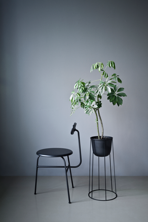   Short-Back Oak Dining Chair | Oroa.com