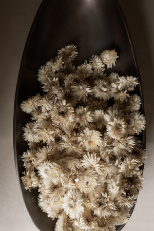   Brown Bronzed Centerpiece | Oroa.com