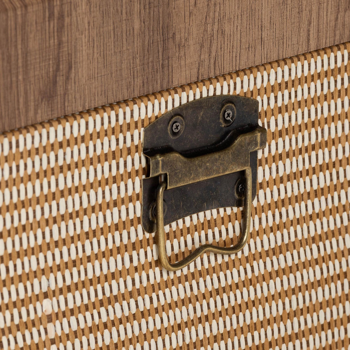   Modern European furniture - Woven Exterior Storage Trunk - www.oroa.com | Oroa.com