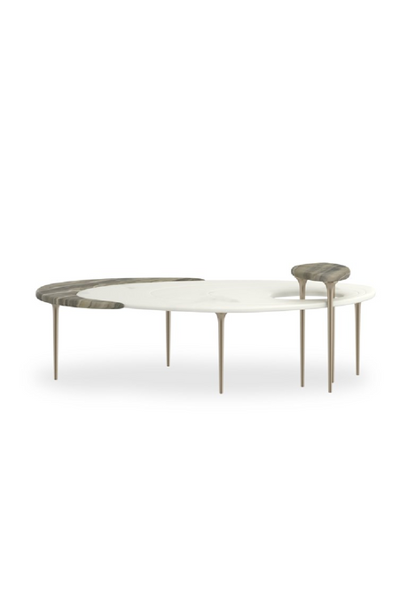   Oval Marble Modern Coffee Table | Oroa.com