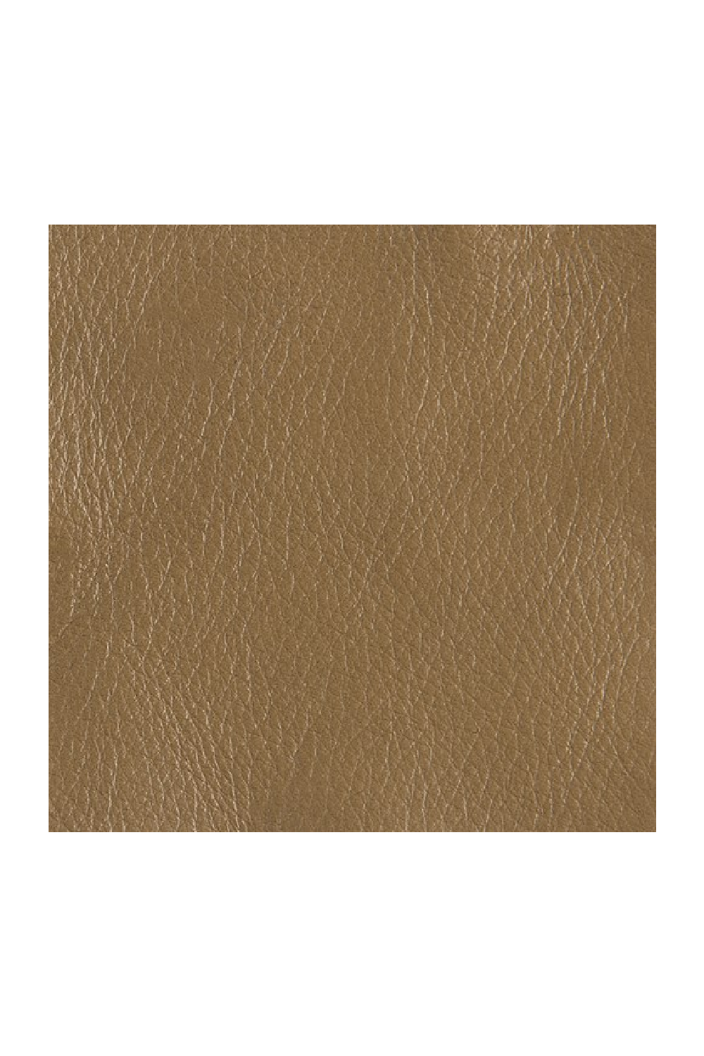   Brown Leather Accent Chair | Oroa.com