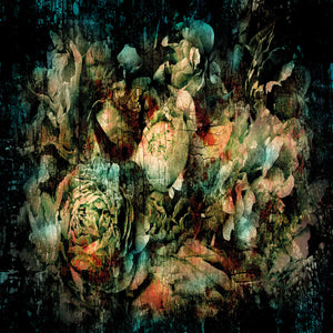   Abstract Plants Photographic Art | Oroa.com