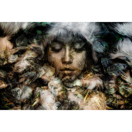    | Oroa.com