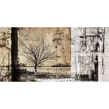    | Oroa.com