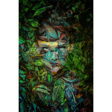    | Oroa.com