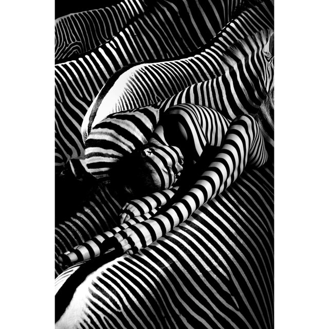 Modern European furniture - Contemporary Photographic Artwork - www.oroa.com