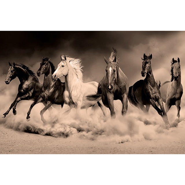 Modern European furniture - Wild Horses Photographic Artwork - www.oroa.com