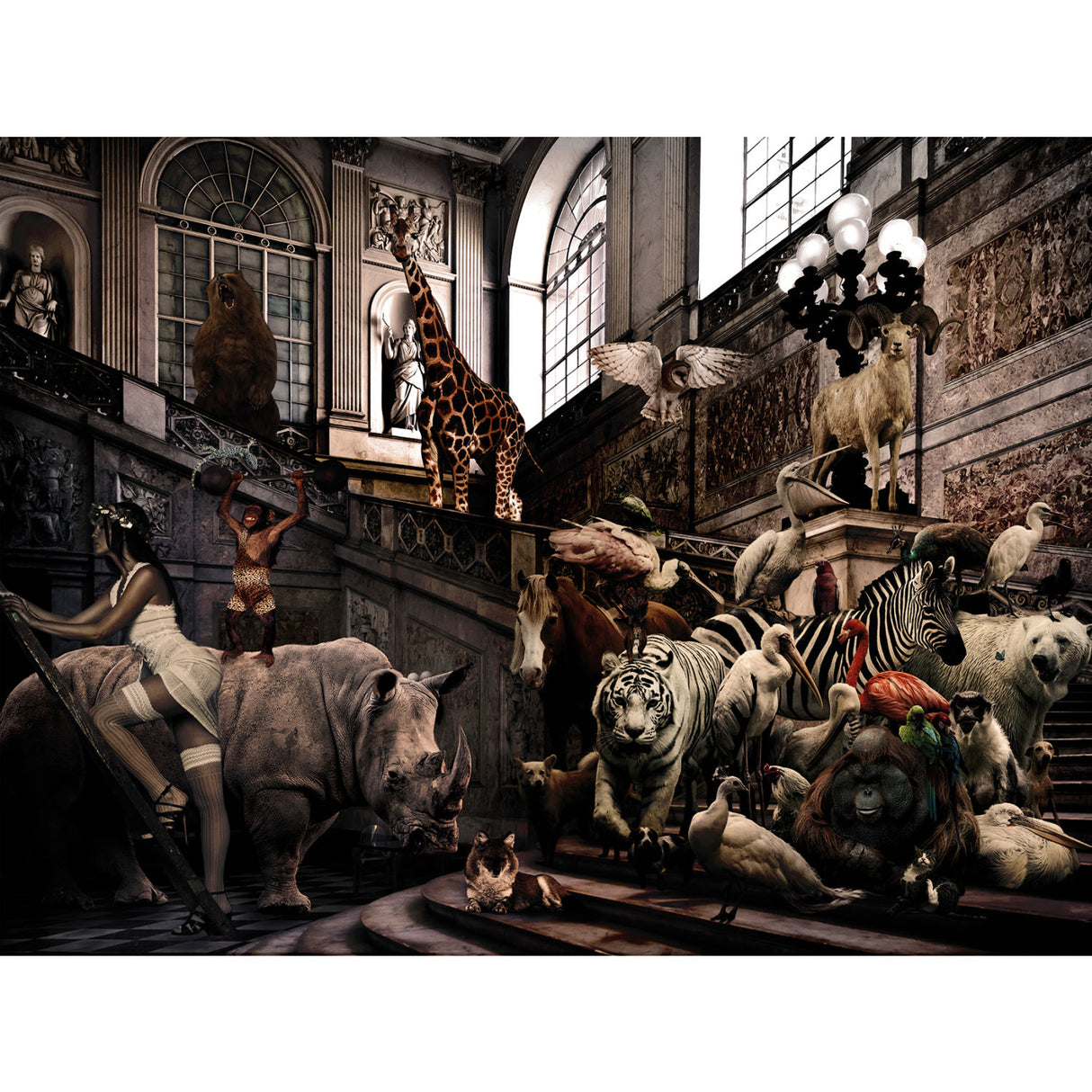   Urban Menagerie Photographic Art | Oroa.com