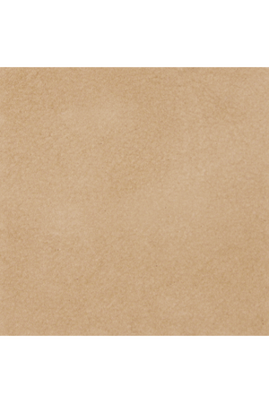   Light Brown Leather Lounge Chair | Oroa.com