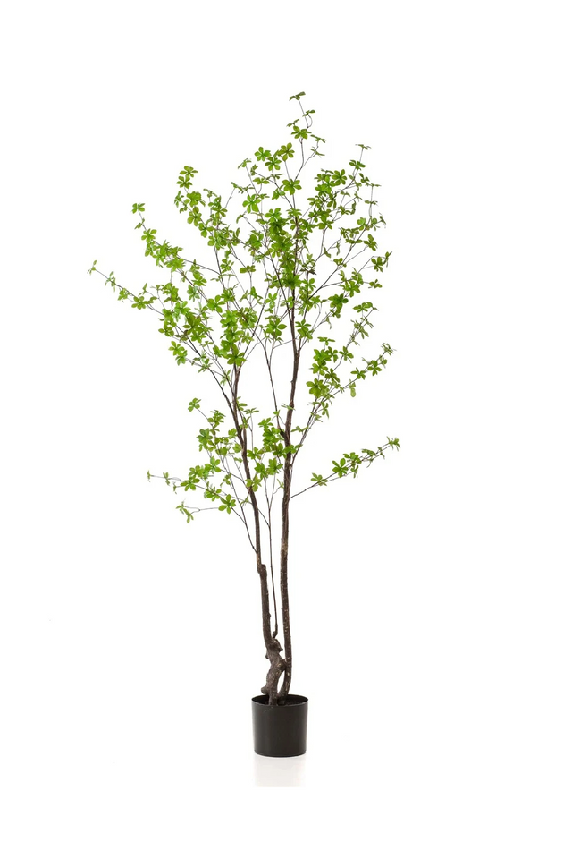 Green Herbaceous Faux Trees (2) M | Emerald Tropaeolum Speciosum | Oroa.com 