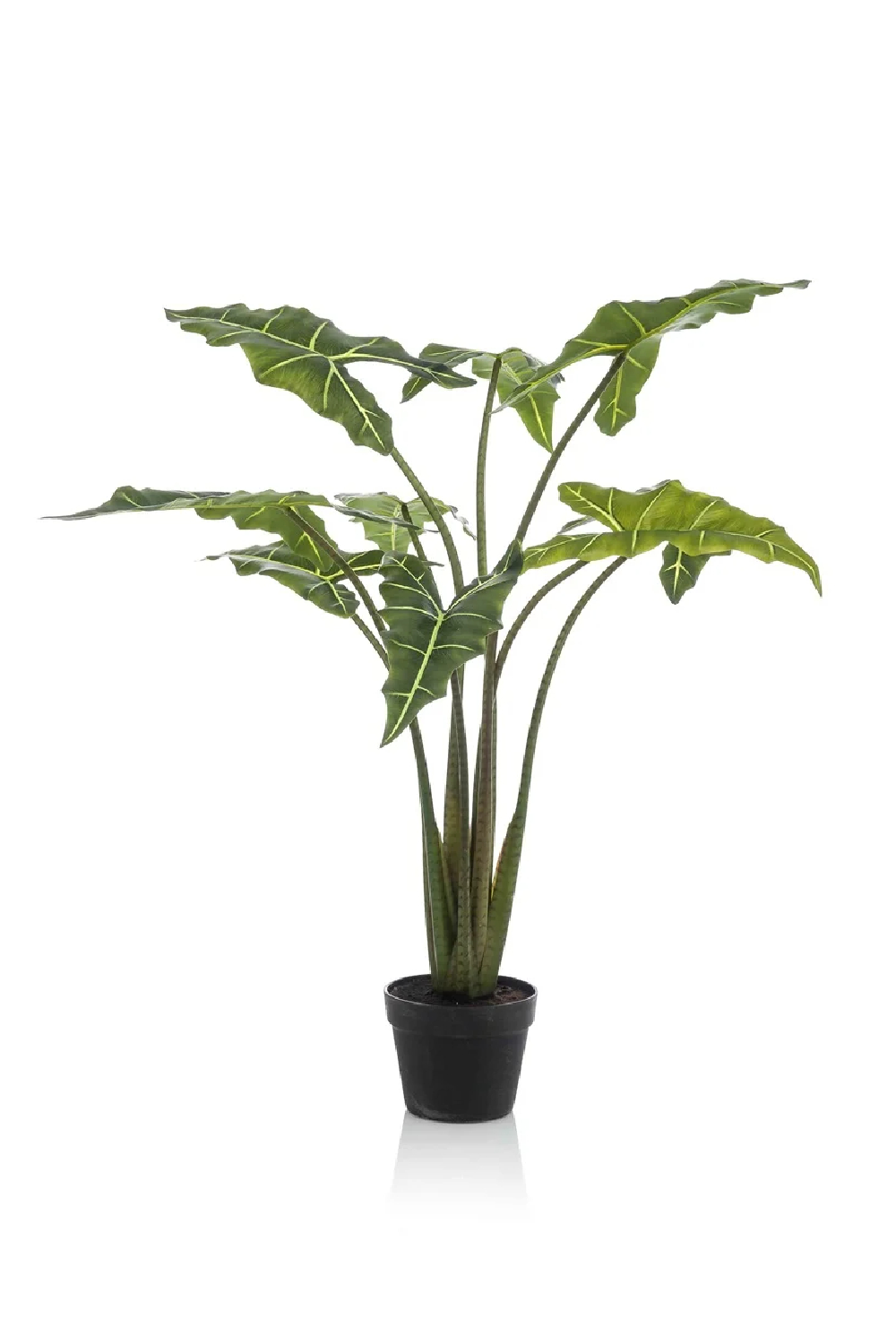   Arrow-Shaped Leaves Faux Houseplants (2) L | Oroa.com