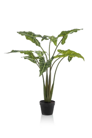   Arrow-Shaped Leaves Faux Houseplants (2) L | Oroa.com