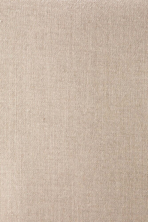   Cream Lounge Chair | Oroa.com