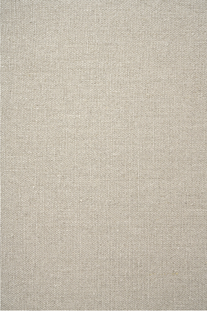   Modern Minimalist Linen Queen Bed | Oroa.com