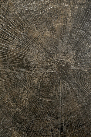   Round Pedestal Dining Table | Oroa.com