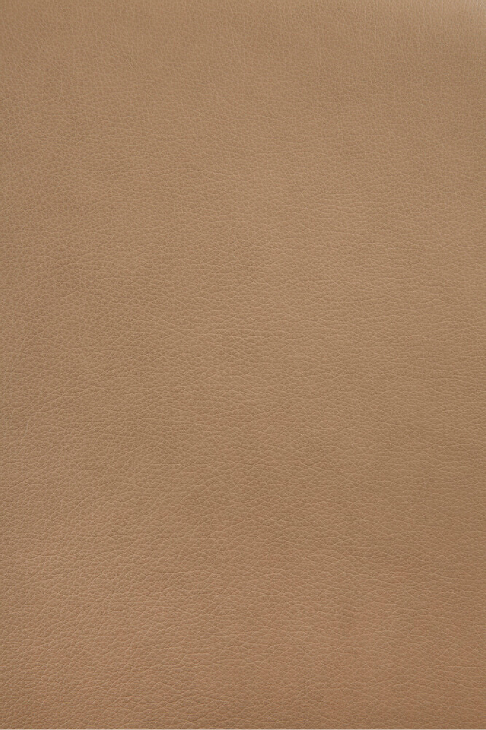   Varnished Oak Leather Lounge Chair | Oroa.com