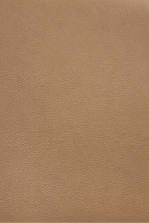   Varnished Oak Leather Lounge Chair | Oroa.com