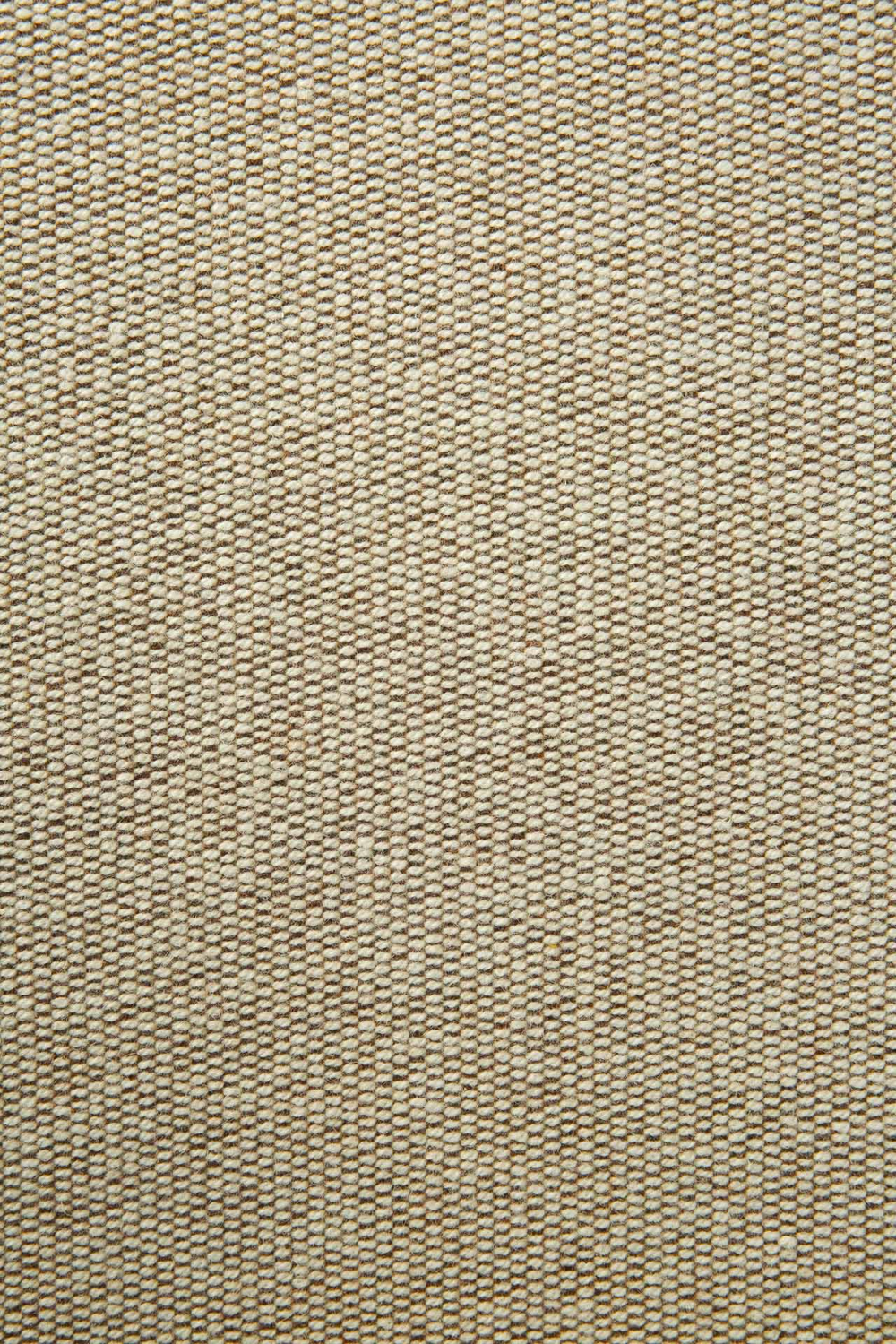   Upholstered Curved Lounge Chair | Oroa.com