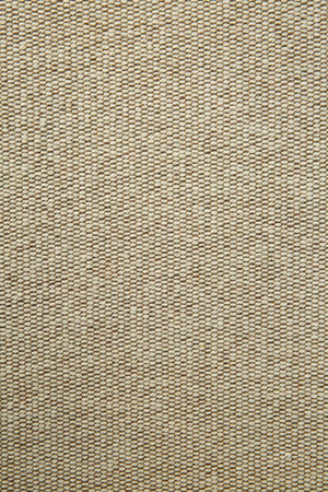   Upholstered Curved Lounge Chair | Oroa.com