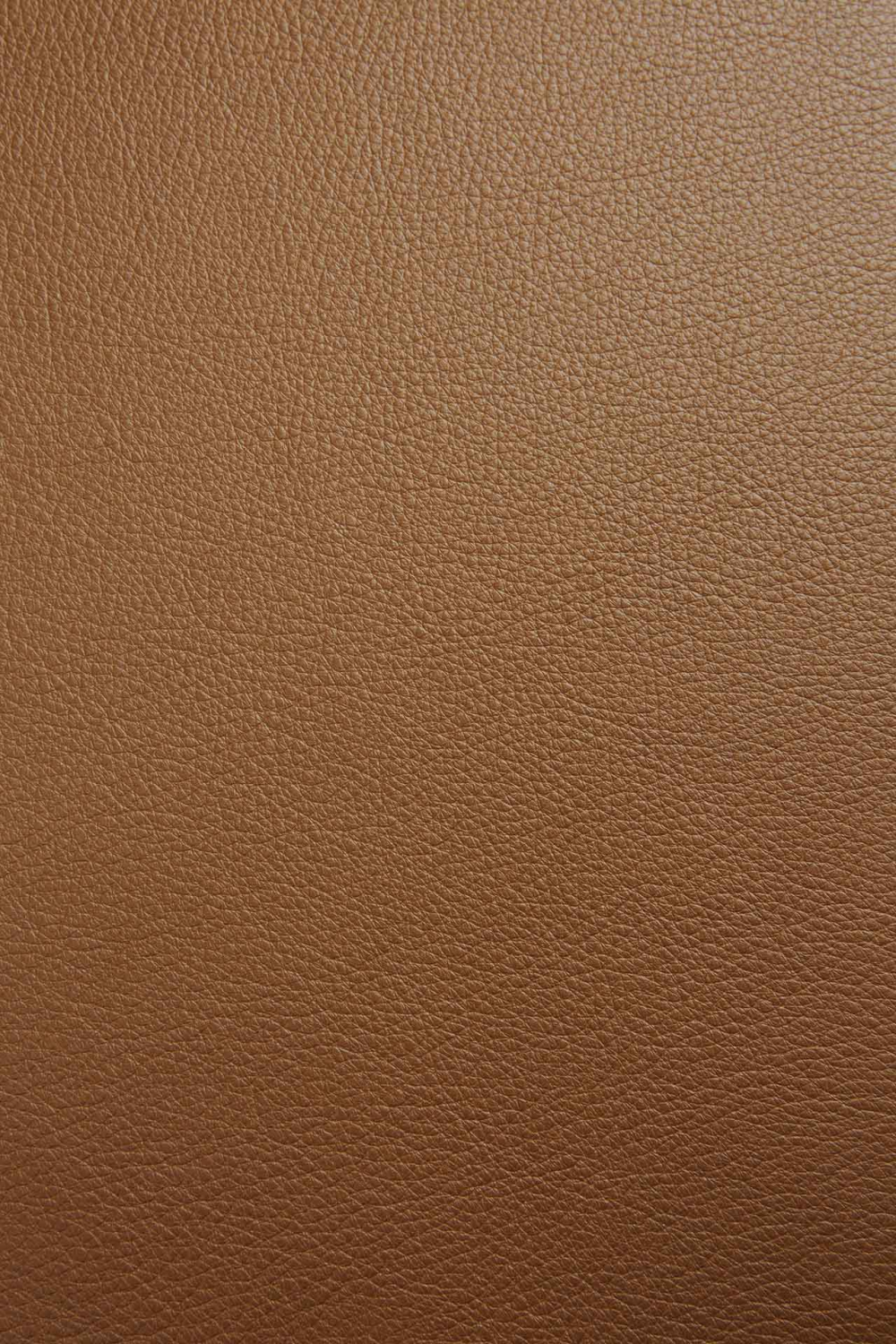   Cushioned Scandinavian Dining Chair | Oroa.com