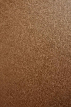   Cushioned Scandinavian Dining Chair | Oroa.com