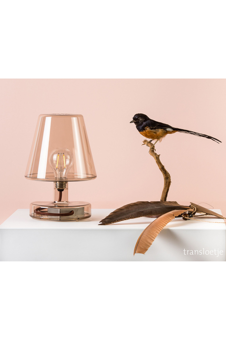   Modern Transparent Table Lamp | Oroa.com