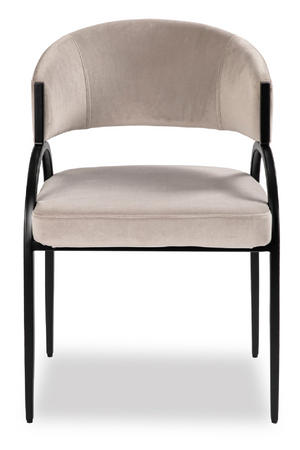   Modern Upholstered Dining Chair | Oroa.com