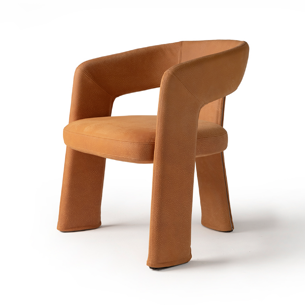   Modern Upholstered Lounge Chair | Oroa.com