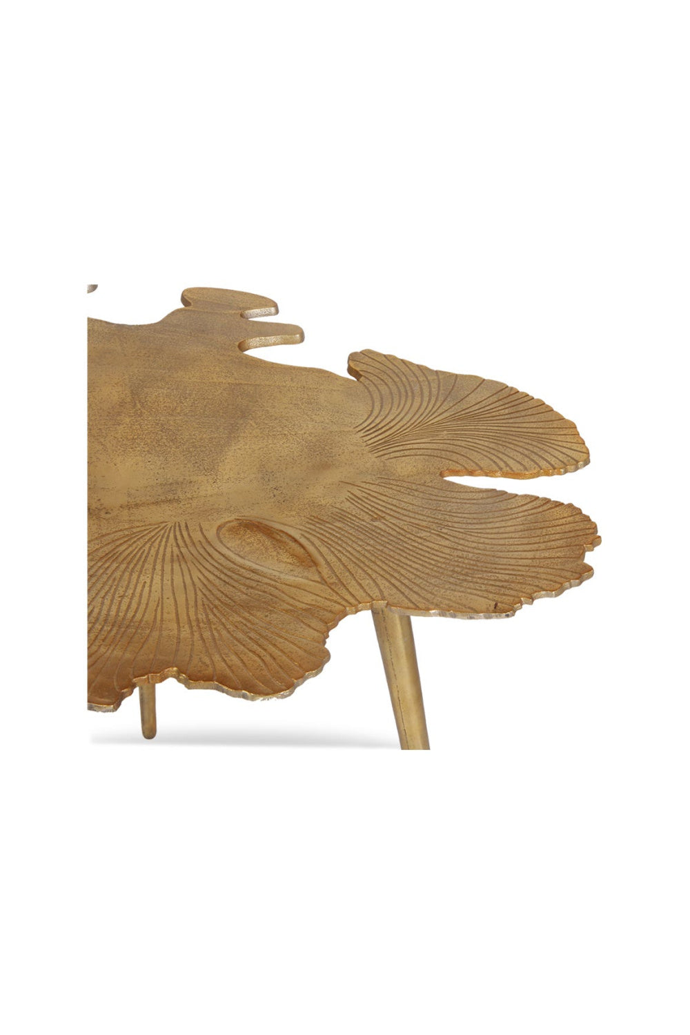  Modern European furniture - Polished Gold Accent Table - www.oroa.com | Oroa.com