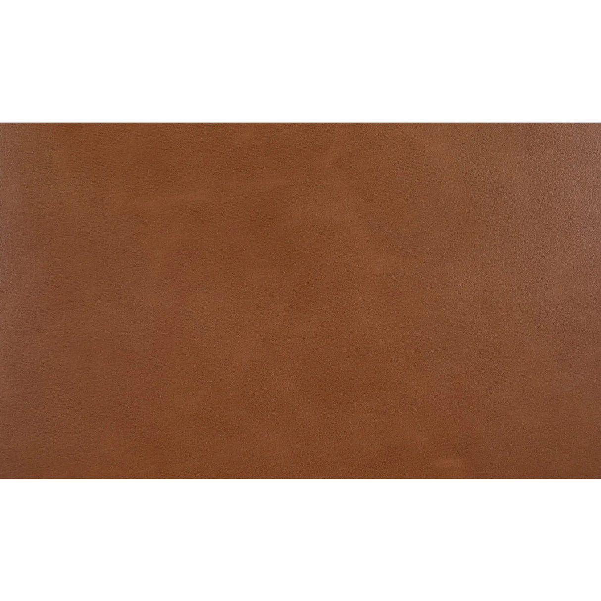   Modern European furniture - Brown Leather Dining Chair - www.oroa.com | Oroa.com