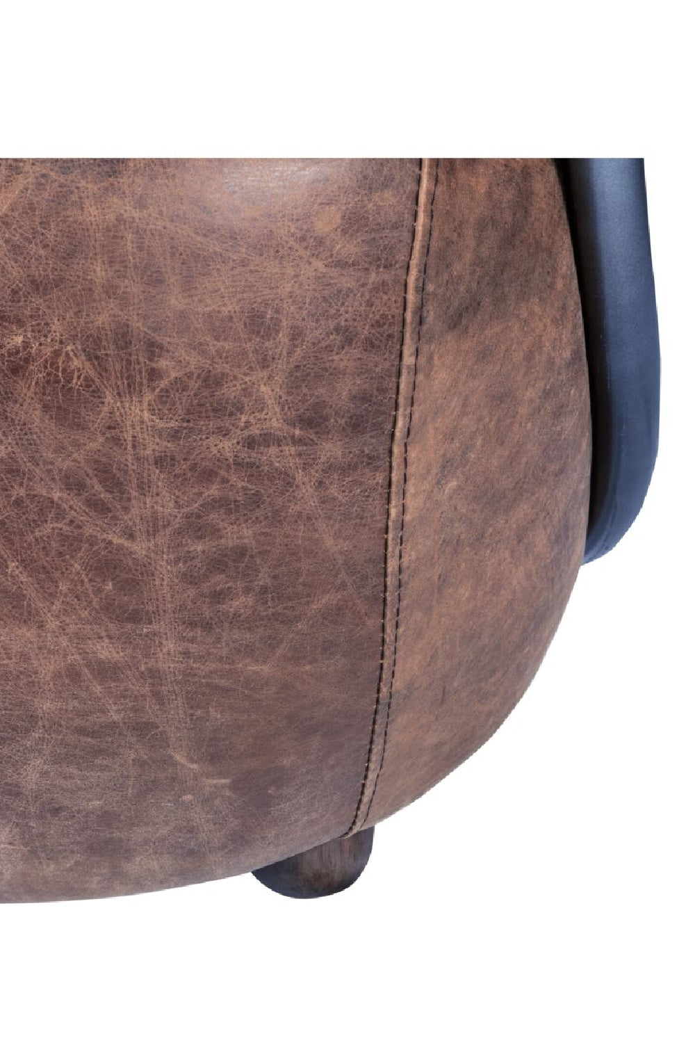   Modern European furniture - Brown Leather Club Chair - www.oroa.com | Oroa.com