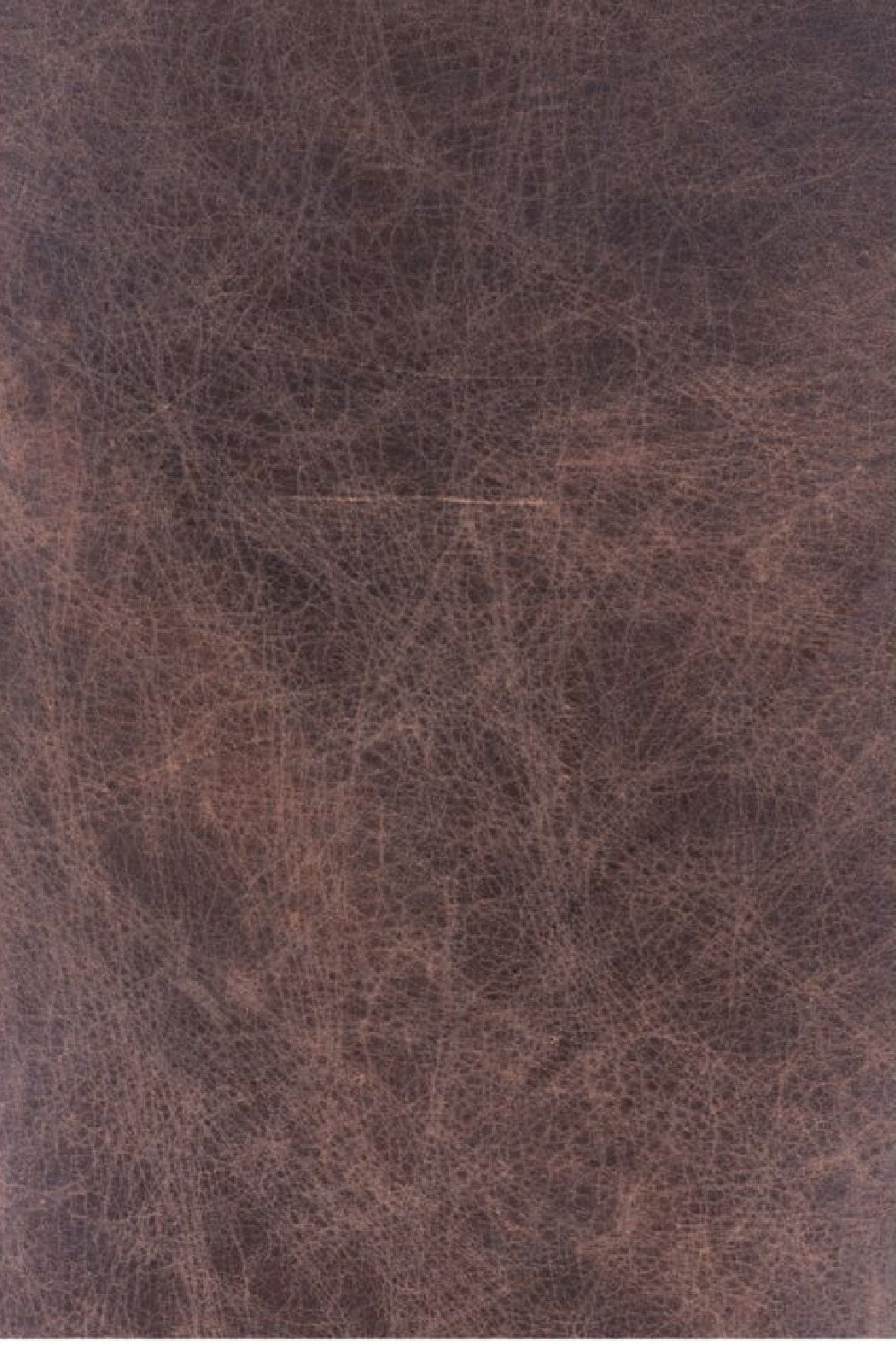   Modern European furniture - Brown Leather Club Chair - www.oroa.com | Oroa.com