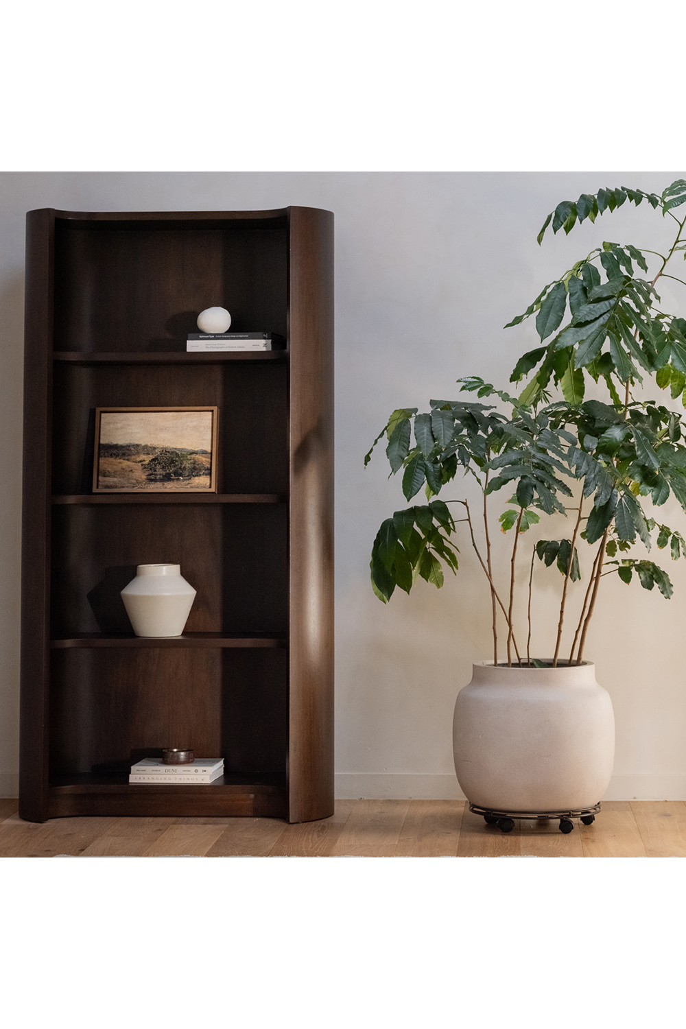   Modern European furniture - Solid Mahogany Bookcase - www.oroa.com | Oroa.com