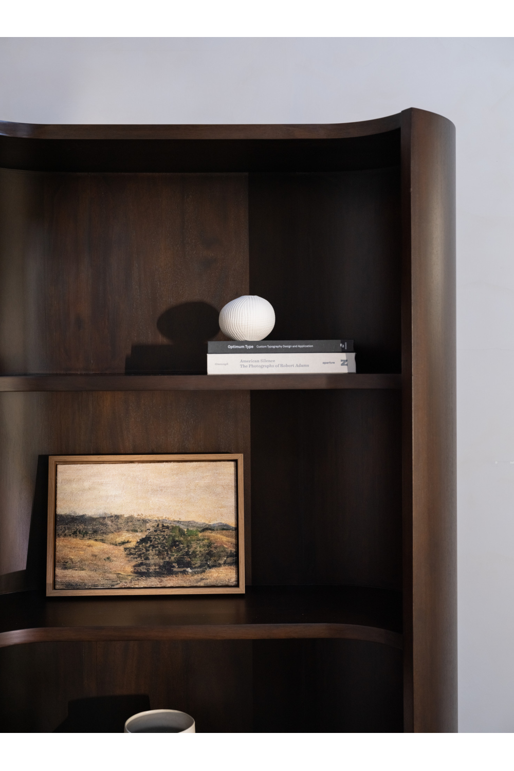   Modern European furniture - Solid Mahogany Bookcase - www.oroa.com | Oroa.com