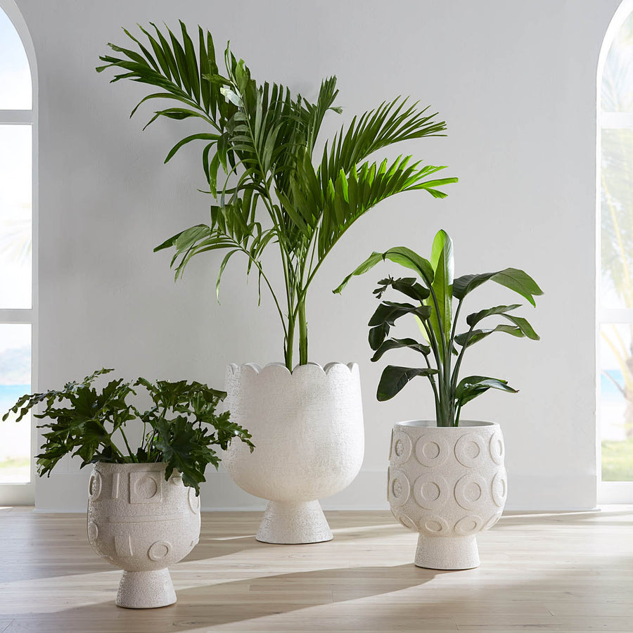   Concrete Pedestal Planter | Oroa.com