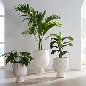  Concrete Pedestal Planter | Oroa.com