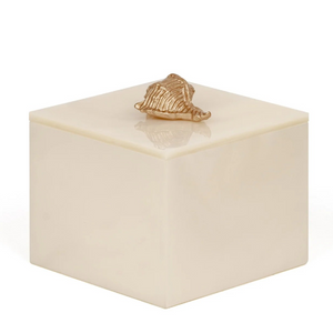  Shell Handle Cotton Pad Holder | Oroa.com