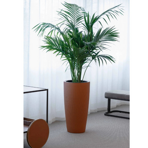   Leather Covered Plant Pot | Oroa.com