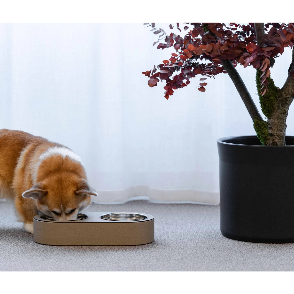   Leather Covered Pet Bowl | Oroa.com