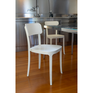   Modern Classic Dining Chairs (2) | Oroa.com