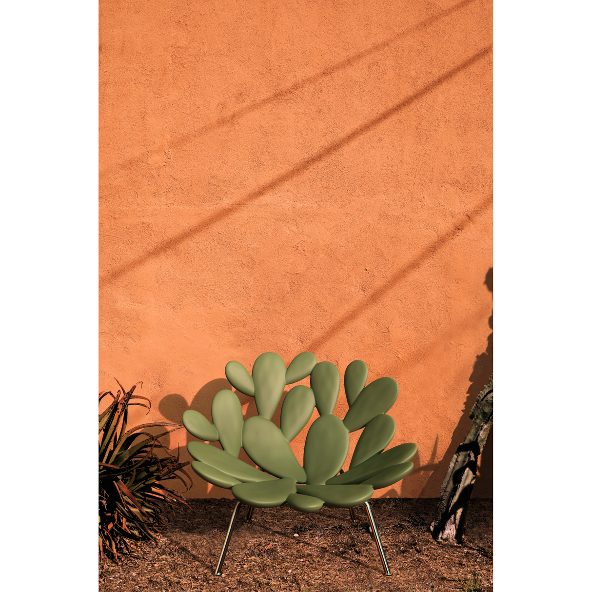   Cactus Design Armchair | Oroa.com
