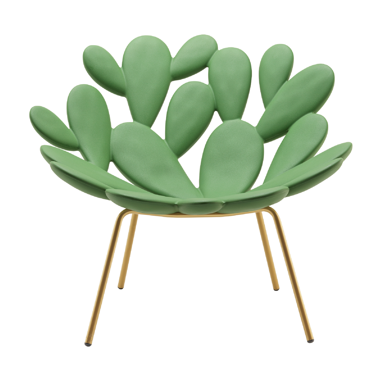   Cactus Design Armchair | Oroa.com