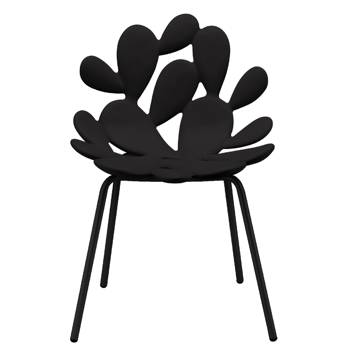   Modern Dining Chair Set (2) | Oroa.com