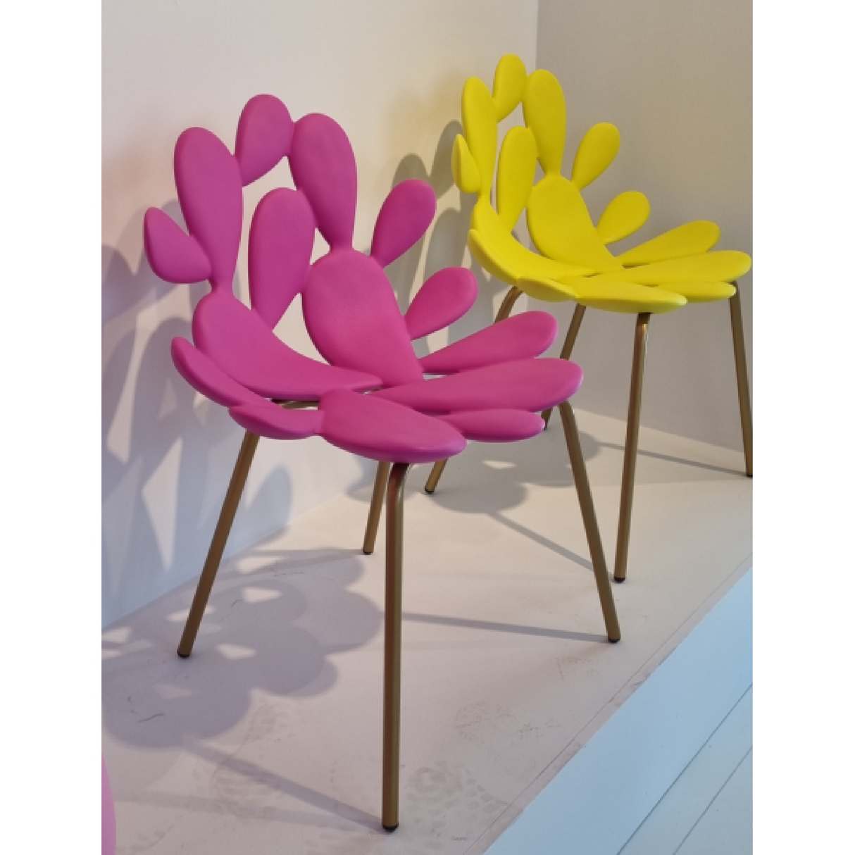   Cactus Design Indoor/Outdoor Dining Chair Set (2) | Oroa.com