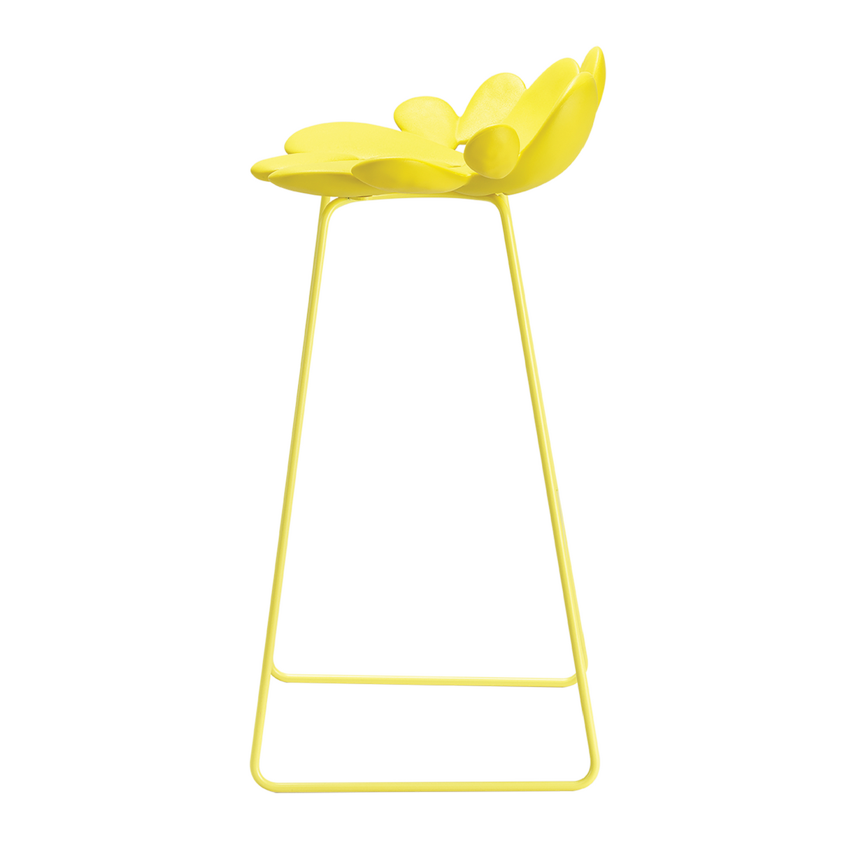   Cactus Design Indoor/Outdoor Stool | Oroa.com