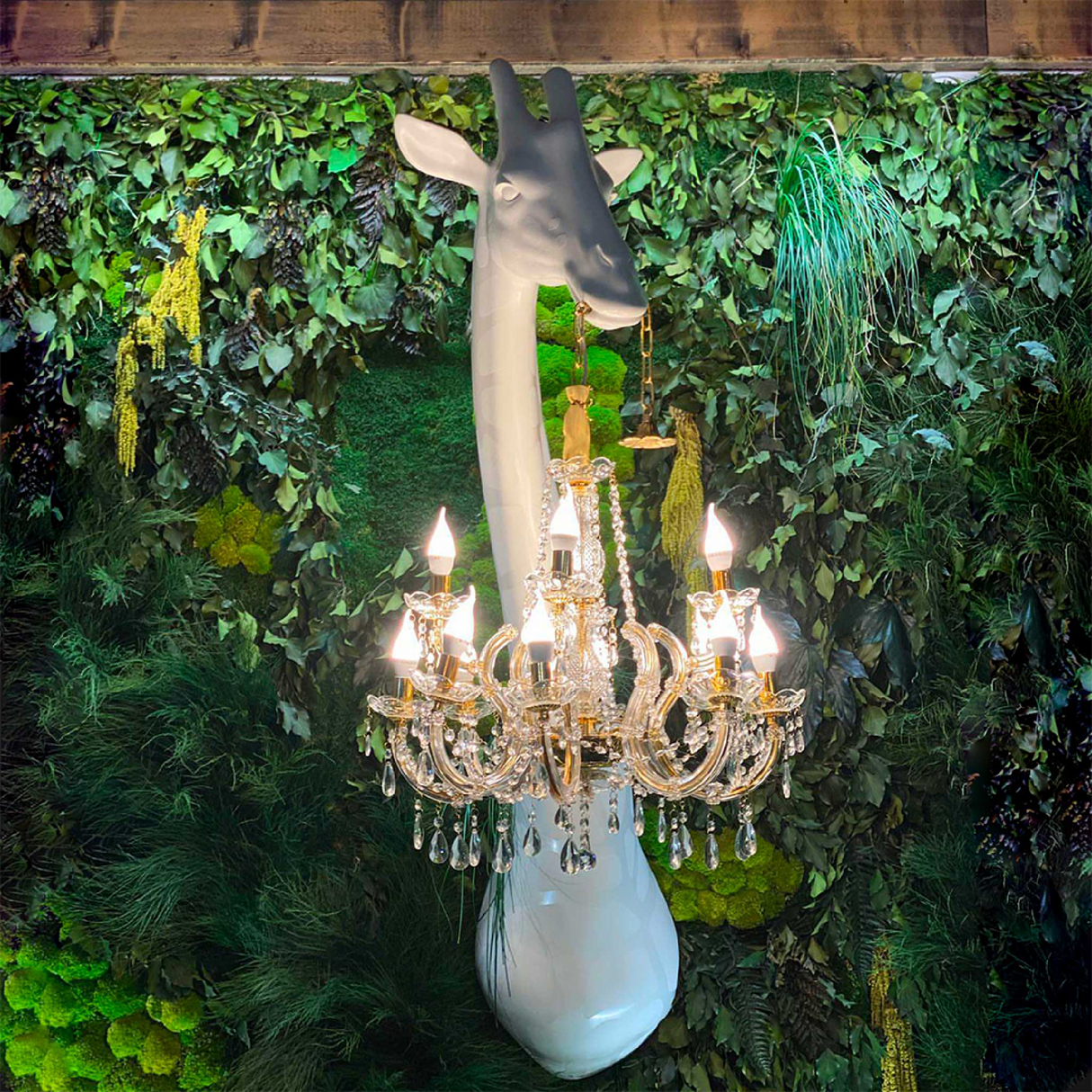   Animal Head Wall Lamp | Oroa.com