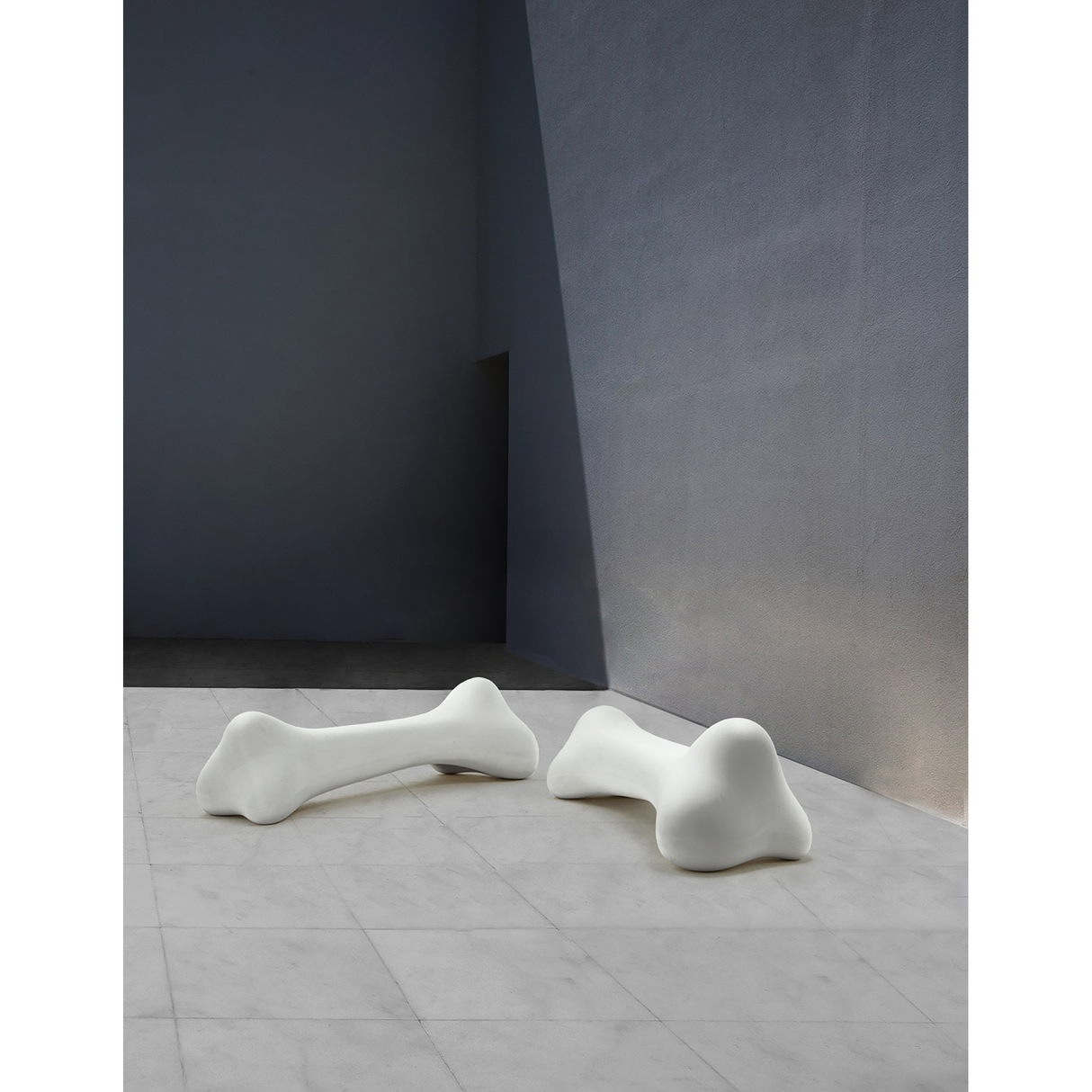   Bone Decorative Object | Oroa.com