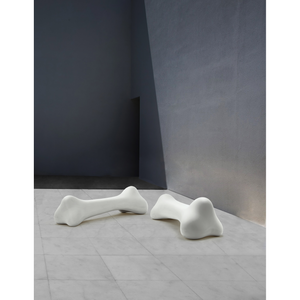   Bone Decorative Object | Oroa.com
