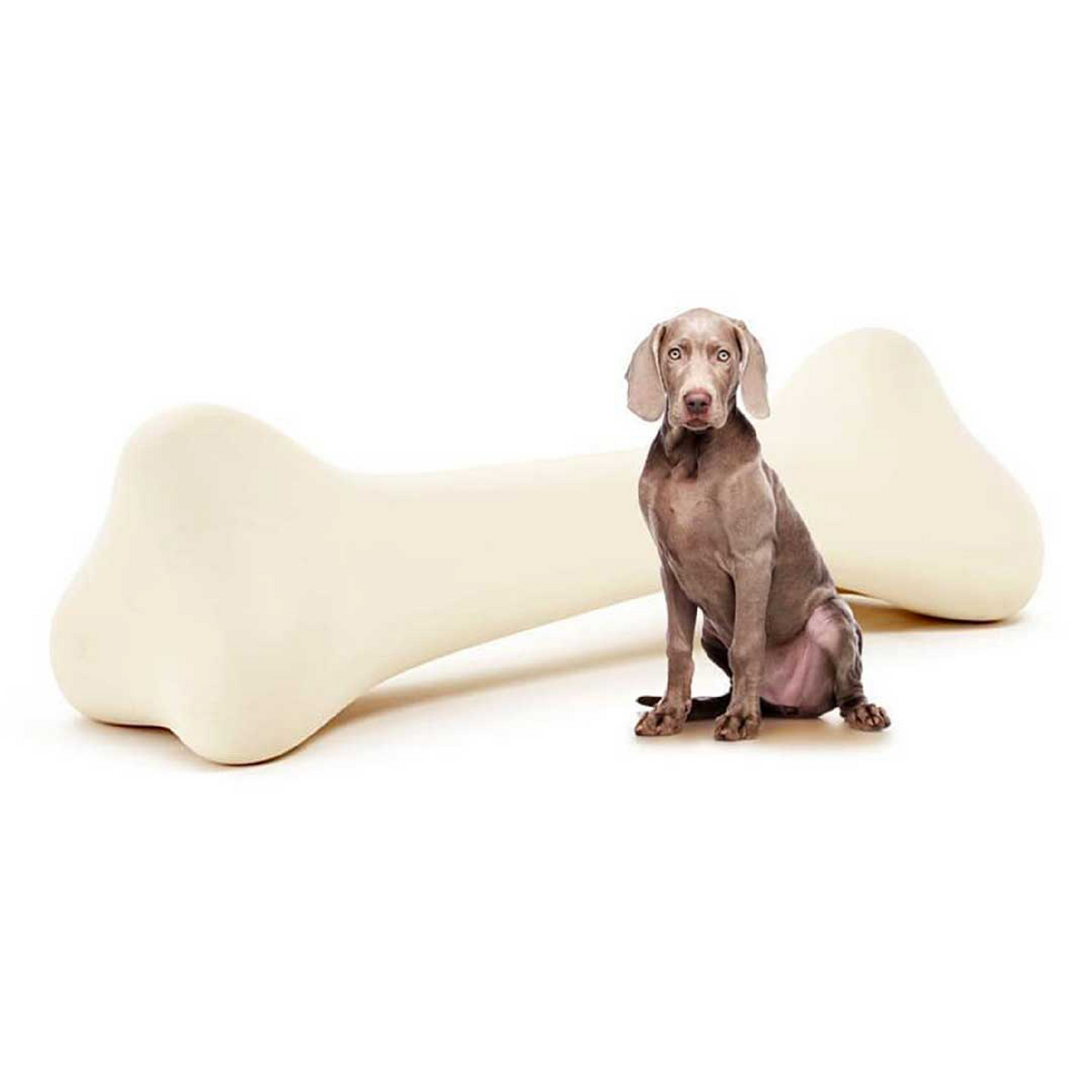   Bone Decorative Object | Oroa.com